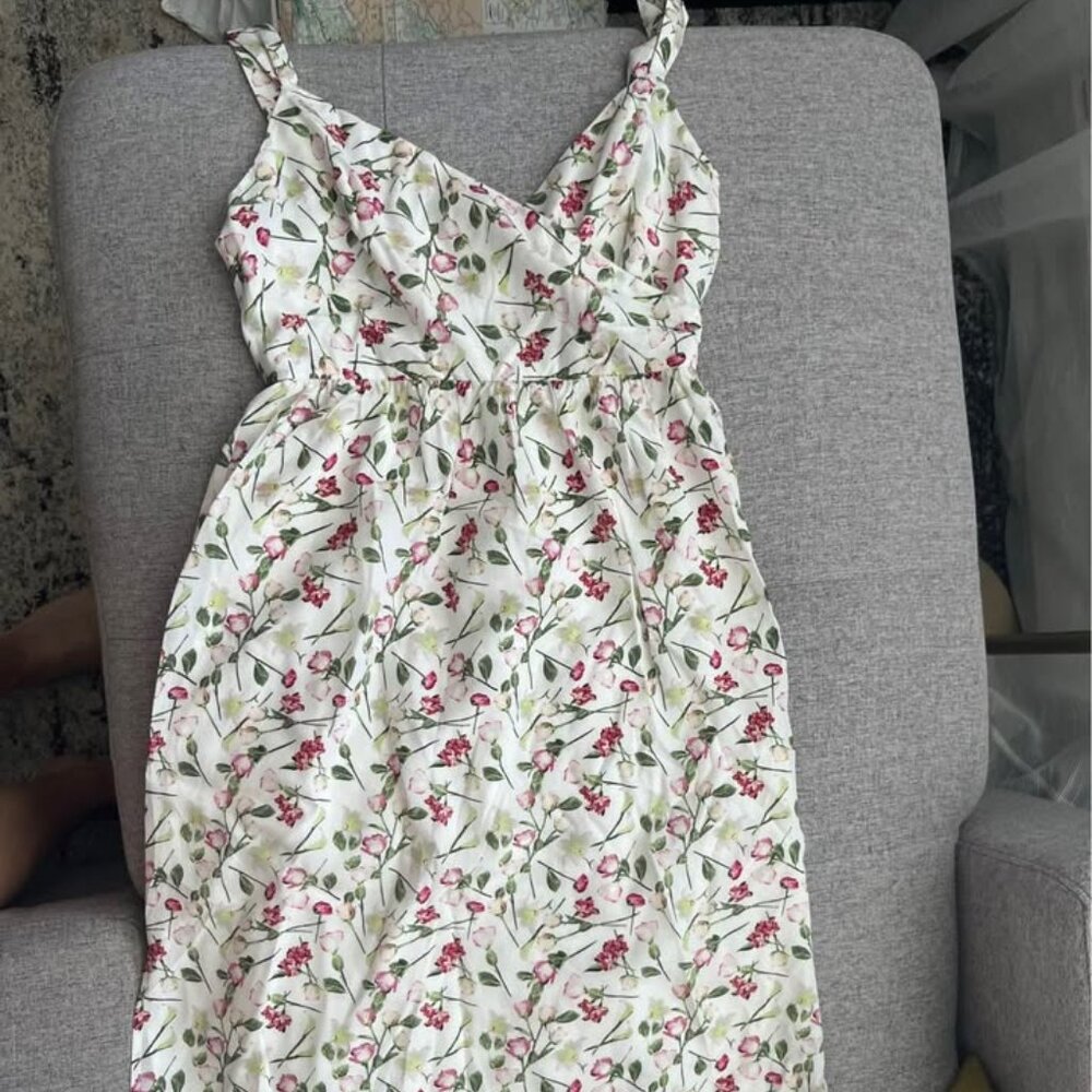Club Monaco floral print rose dress silk size 0